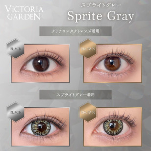 VICTORIA GARDEN 1day Sprite Gray ビクトリアガーデン スプライトグレー